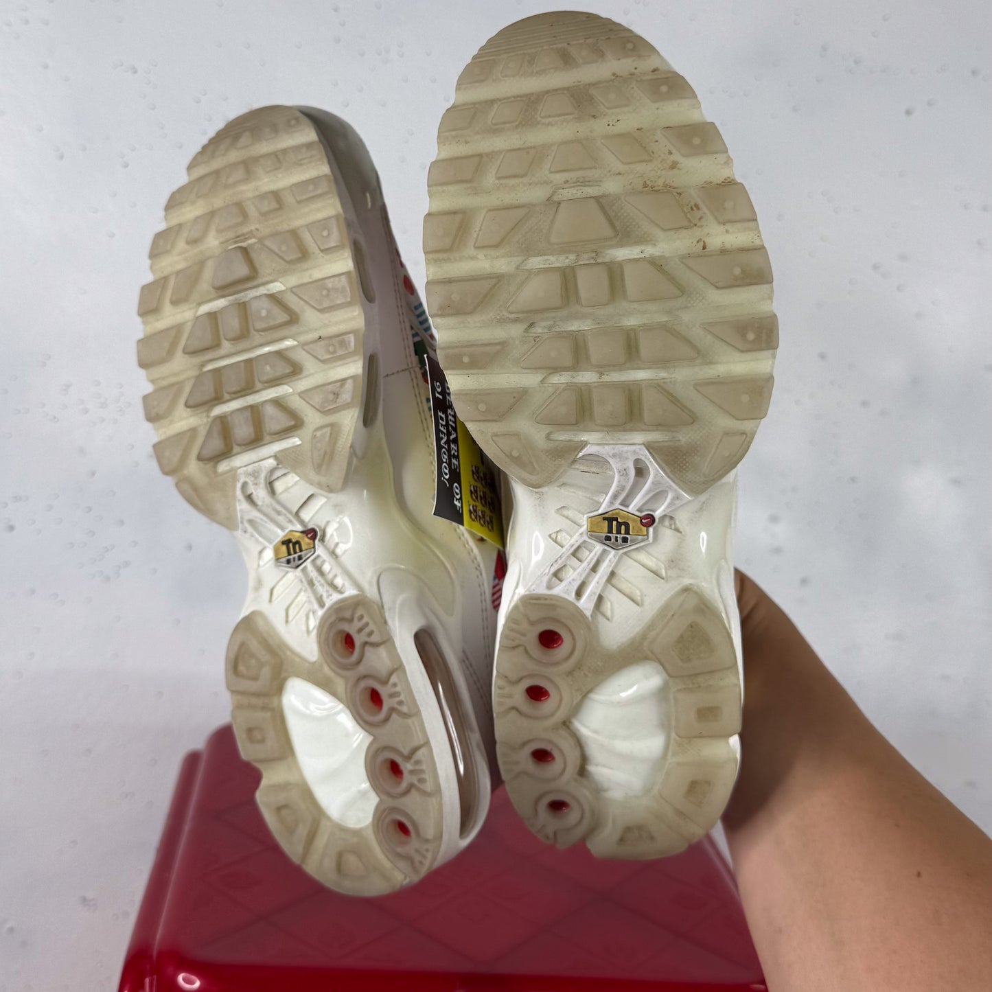 Nike Air Max Plus TN World Flag US7.5 no box