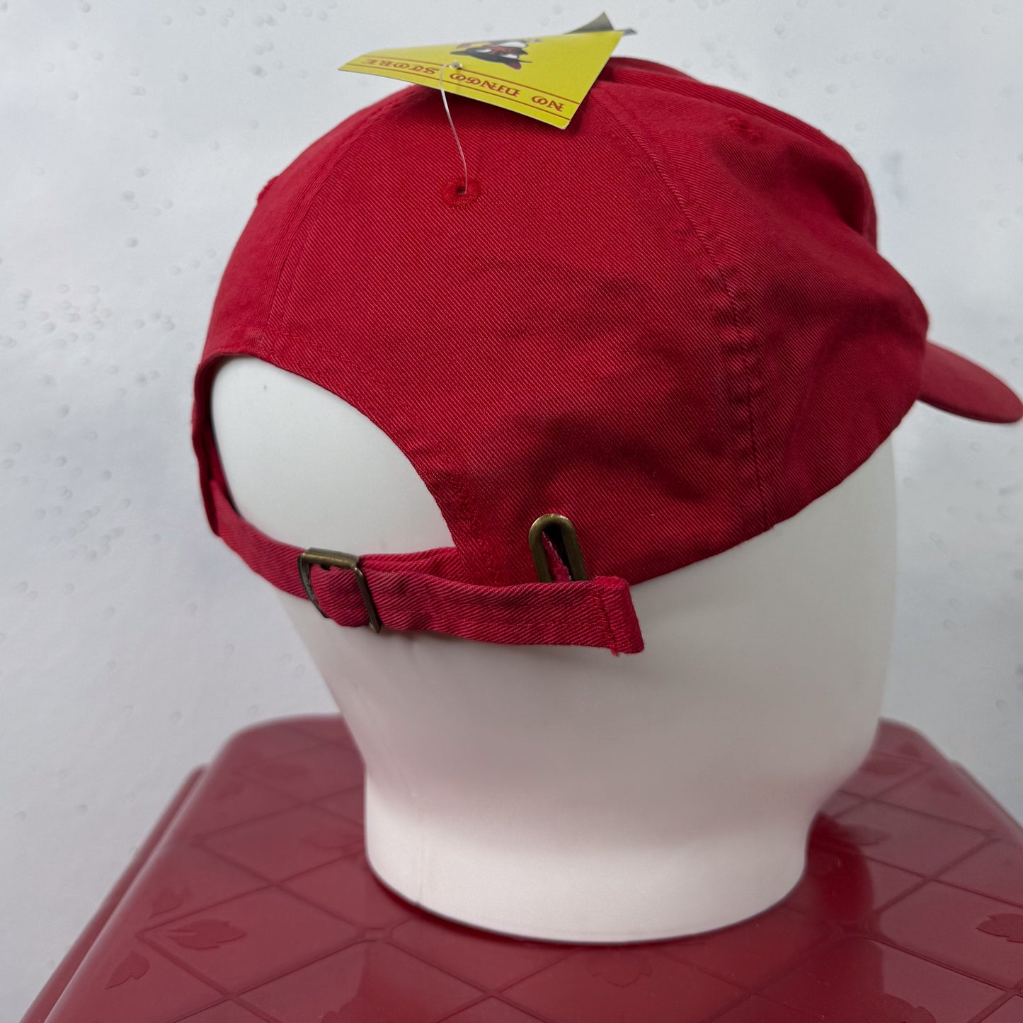 90's Ralph Lauren Polo Sport Red Polo U.S.A Cap