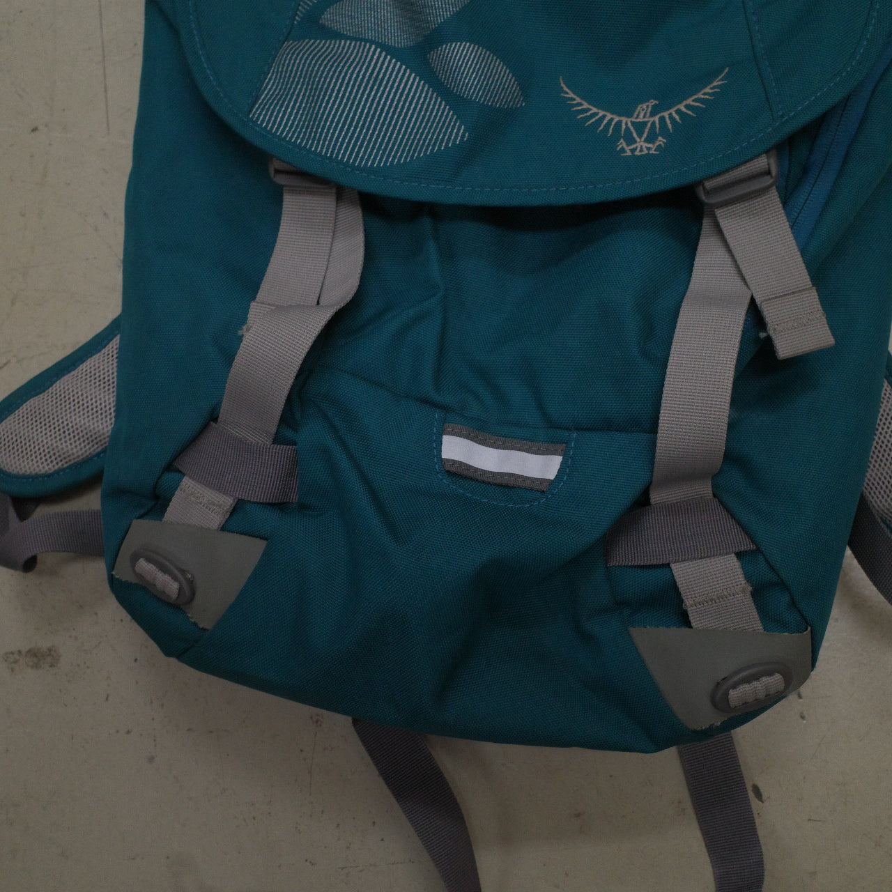 Osprey Flap Jill Pack Green Backpack Hiking Travel Day Bag Camping