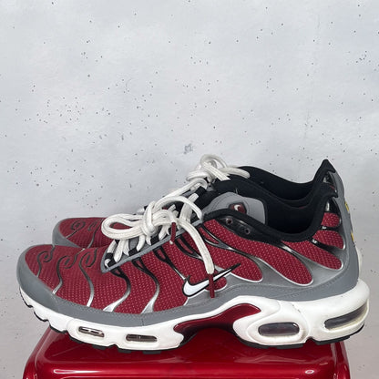 Nike Air Max Plus TN "Burgandy" (US11)