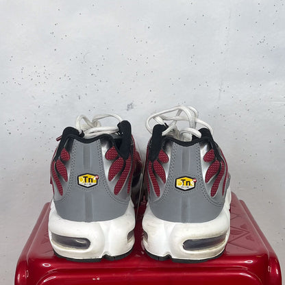 Nike Air Max Plus TN "Burgandy" (US11)