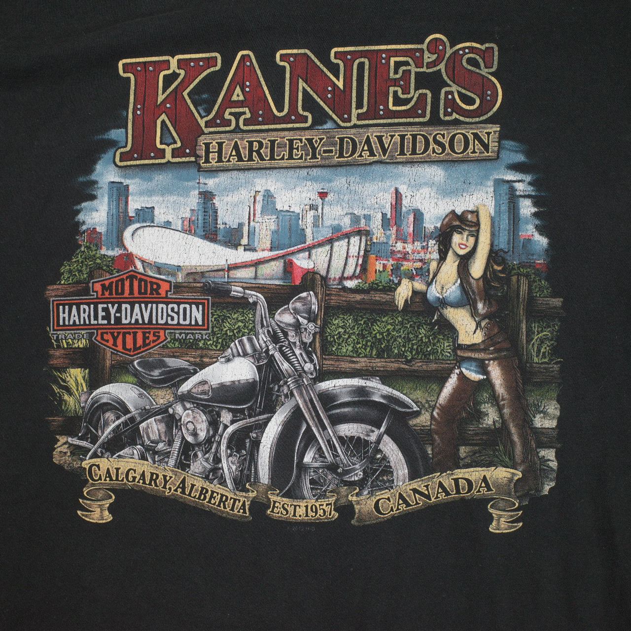 Harley Davidson Motorcycles Polar Bear Run Calgary Alberta Long Sleeve T Shirt Mens 5XL~