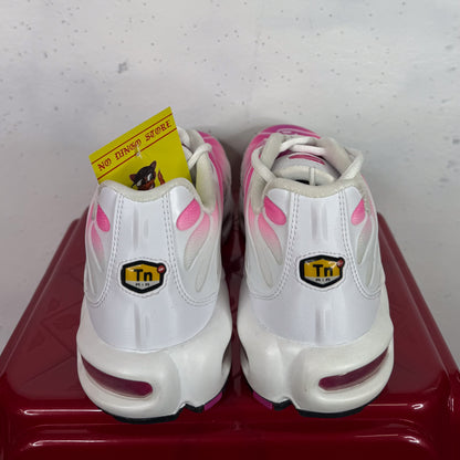 Nike Air Max Plus TN "Pink Fades New (US9.5 / W US11)