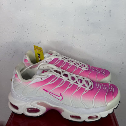 Nike Air Max Plus TN "Pink Fades New (US9.5 / W US11)