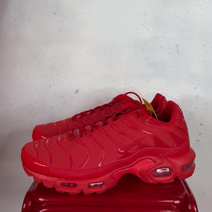 Nike Air Max Plus TN "Lavas" New (US11)