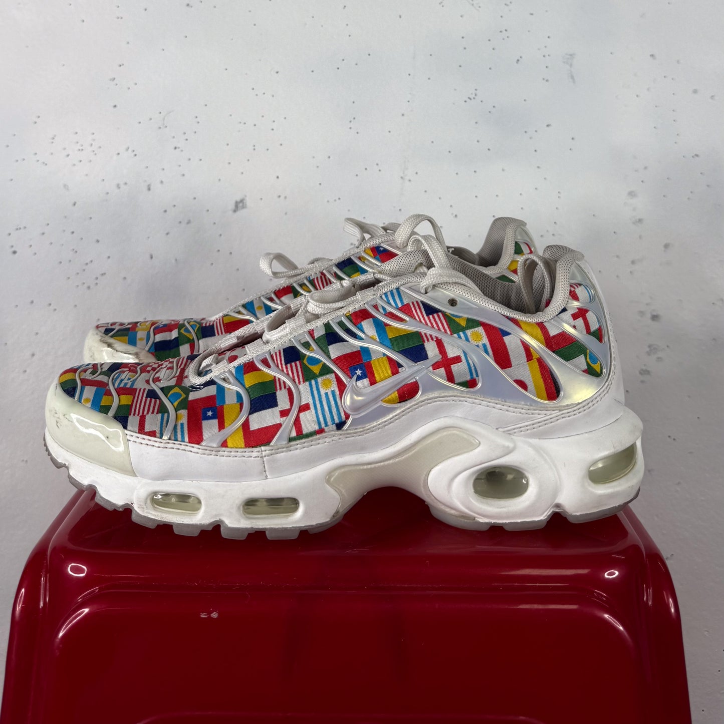 Nike Air Max Plus TN "World Flag" (US7.5)