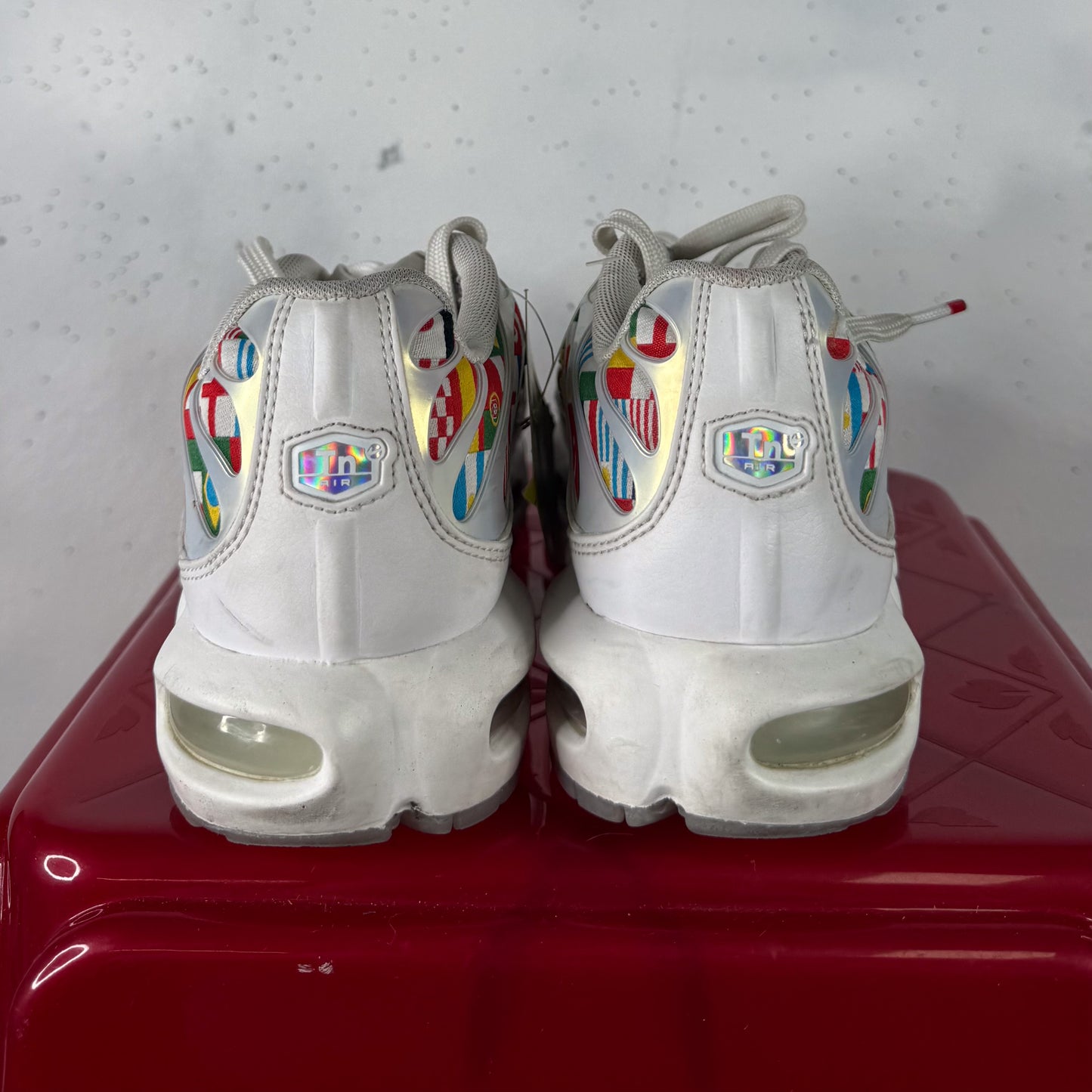 Nike Air Max Plus TN "World Flag" (US7.5)